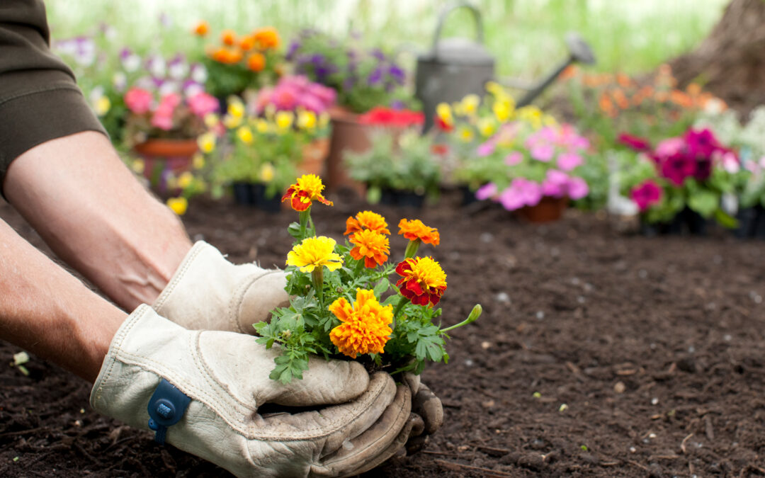 Gardening como estratégia